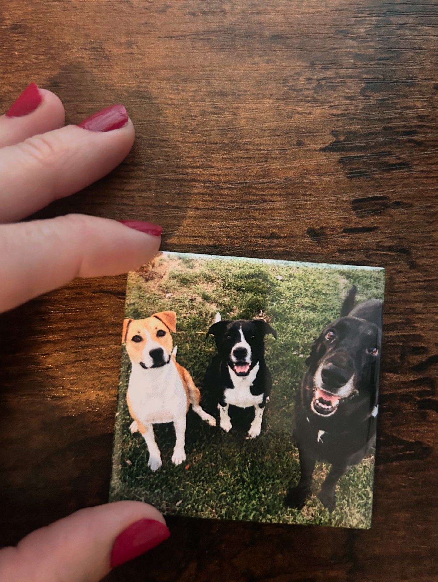 6 customized fridge magnets