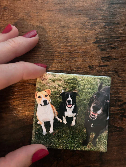 6 customized fridge magnets